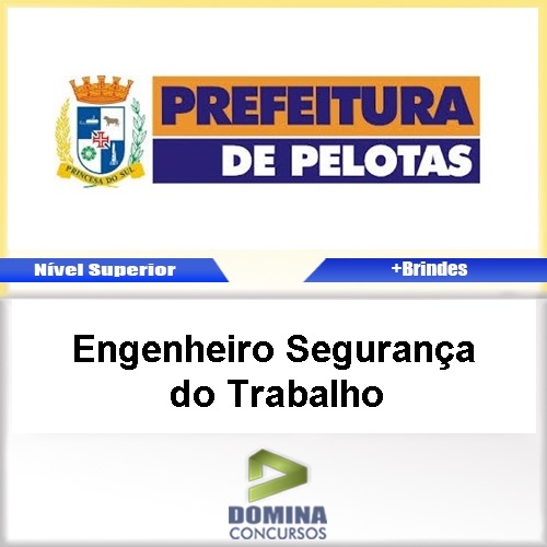 Apostila Pelotas RS Engenheiro Segurança Trabalho