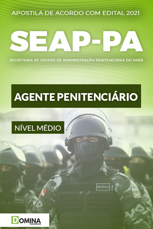 Apostila Concurso Público SEAP PA 2021 Agente Penitenciário