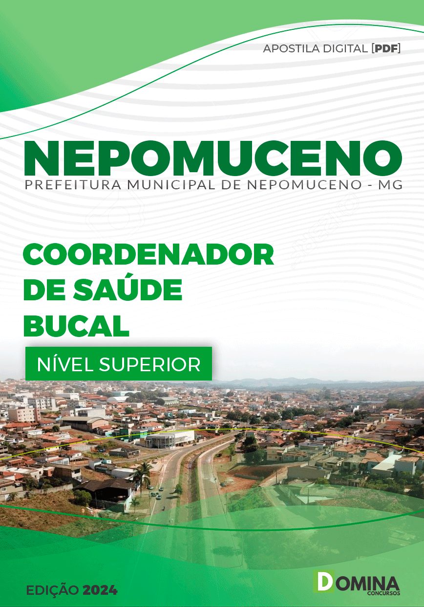 Apostila Pref Nepomuceno MG 2024 Coordenador Saúde Bucal