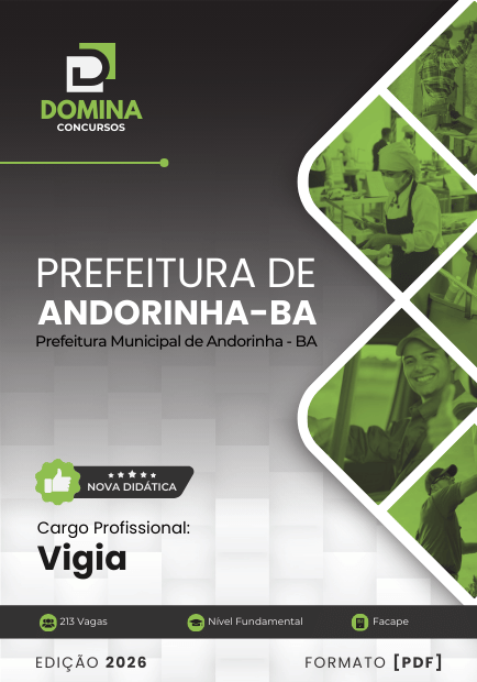 Apostila Vigia Andorinha BA 2026